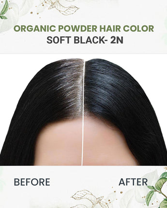 Quikhenna 100% Powder Organic Hair Color - 2N Soft Black