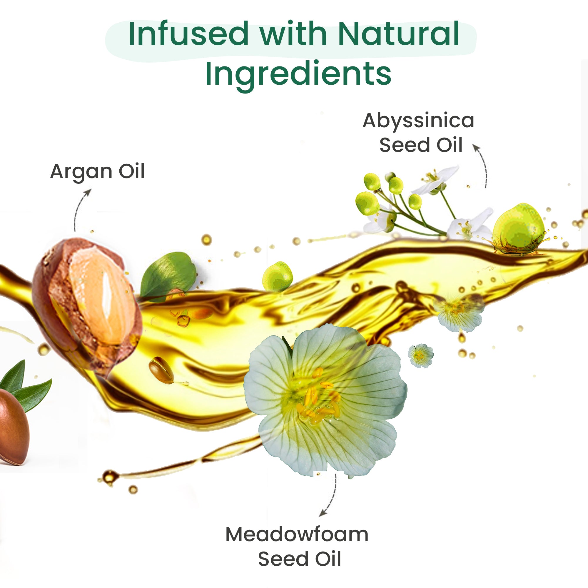imges of aequo organic natural key ingredients
