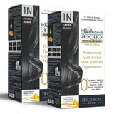 Aequo Organic Cream Hair Colour Salon Pack- 120ml- 1N Jet Black - BuyPureNaturals