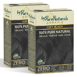 ByPureNaturals 100% Organic Pure Natural Powder Hair Colour- 120 Gm- 2N Soft Black - BuyPureNaturals