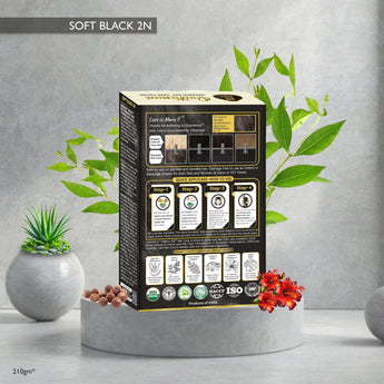 QuikHenna Organic Gel Hair Color 210 Gm -2N Soft Black - BuyPureNaturals
