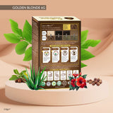 QuikHenna Organic Gel Hair Color 210 Gm - 6G Golden Blonde - BuyPureNaturals