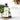 Hasthkar SLS & Paraben Free Amla & Bhringraj Hair Shampoo- 210ml - BuyPureNaturals
