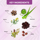 QH+ QuikHenna CLINICA Organic Gel Innovative Derma Hair Color 165gm- 9RG Burgundy - BuyPureNaturals