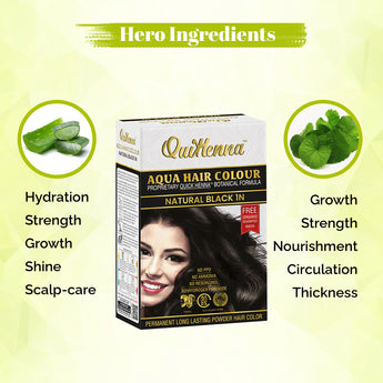 QuikHenna AQUA Powder Hair Color- 110 Gm - 1N Natural Black - BuyPureNaturals