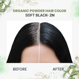 Quikhenna 100% Organic Powder Hair Color- 60 Gm- 2N Soft Black - BuyPureNaturals
