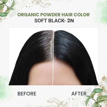 Quikhenna 100% Powder Organic Hair Color - 2N Soft Black 120 GM