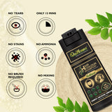 QH+ QuikHenna EVARA Organic Gel Hair Colour Shampoo- 400ml- 2N Soft Black - BuyPureNaturals