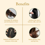 QH+ Quikhenna Quick Henna Hair Water- 100ml - BuyPureNaturals