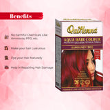 QuikHenna AQUA Powder Hair Color-110 Gm- 9RG Burgundy - BuyPureNaturals