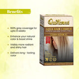 QuikHenna AQUA Powder Hair Color- 110Gm- 6G Golden Blonde - BuyPureNaturals