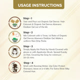 QH+ QuikHenna CLINICA Organic Gel Innovative Derma Hair Color 165gm- 2G Ebony Black - BuyPureNaturals