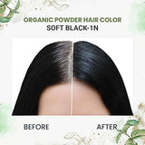 byPureNaturals 100% Organic Pure Natural Powder Hair Color- 60 Gm- 2N Soft Black - BuyPureNaturals