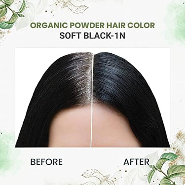 byPureNaturals 100% Organic Pure Natural Powder Hair Color- 60 Gm- 2N Soft Black - BuyPureNaturals