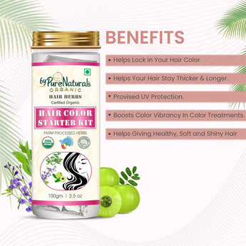 byPureNaturals 100% Organic Hair Coloring Kit- 100 Gm - BuyPureNaturals