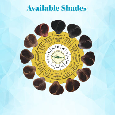 QuikHenna AQUA Powder Hair Color- 110 Gm- 2G Ebony Black - BuyPureNaturals