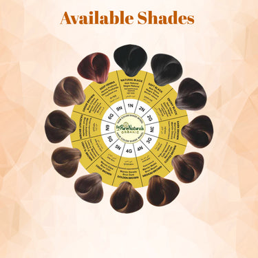 QuikHenna AQUA Powder Hair Color- 110 Gm- 2N Soft Black - BuyPureNaturals