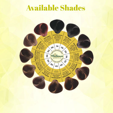 QuikHenna AQUA Powder Hair Color- 110Gm- 6G Golden Blonde - BuyPureNaturals