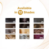 QuikHenna Organic Gel Hair Color 120 Gm -2N Soft Black - BuyPureNaturals
