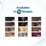 QuikHenna Organic Gel Hair Color 120 Gm - 2G Ebony Black - BuyPureNaturals