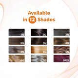 QuikHenna Organic Gel Hair Color 120 Gm - 3G Coffee Brown - BuyPureNaturals