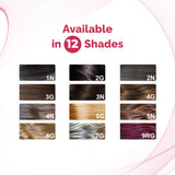 QuikHenna Organic Gel Hair Color 120 Gm - 9RG Burgundy - BuyPureNaturals