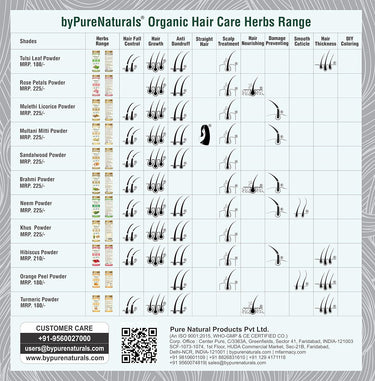 byPureNaturals 100% Organic Hair Coloring Kit- 100 Gm - BuyPureNaturals