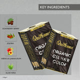 QuikHenna Organic Gel Hair Color 210 Gm -2N Soft Black - BuyPureNaturals