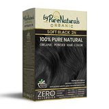 byPureNaturals 100% Organic Pure Natural Powder Hair Color- 120 Gm