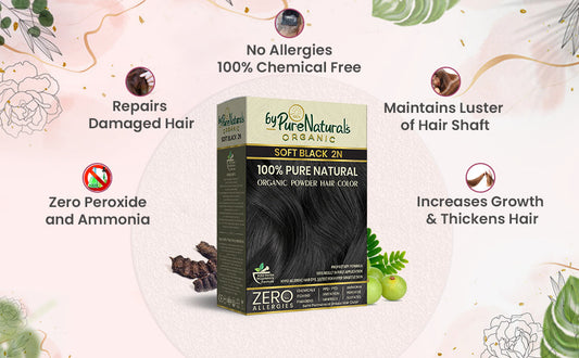 Image of box of natural hair colour byPureNaturals in soft black colour