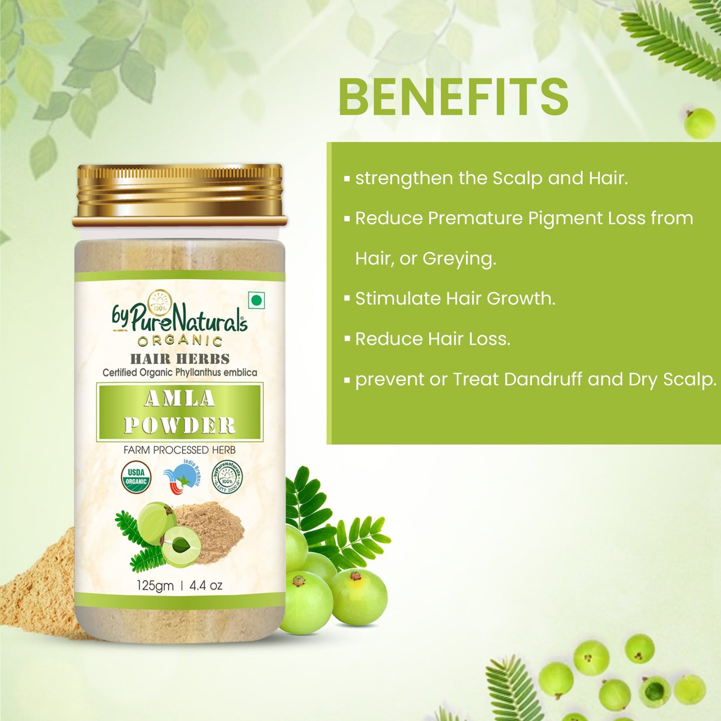 Organic Amla Herb Powder byPureNaturals-1