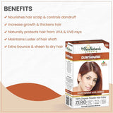byPureNaturals 100% Organic Herbal Hair Henna with Herbs- 120 Gm