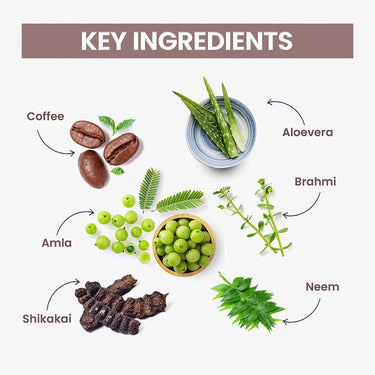 byPureNaturals 100% Organic Herbal Hair Henna with Herbs- 120 Gm