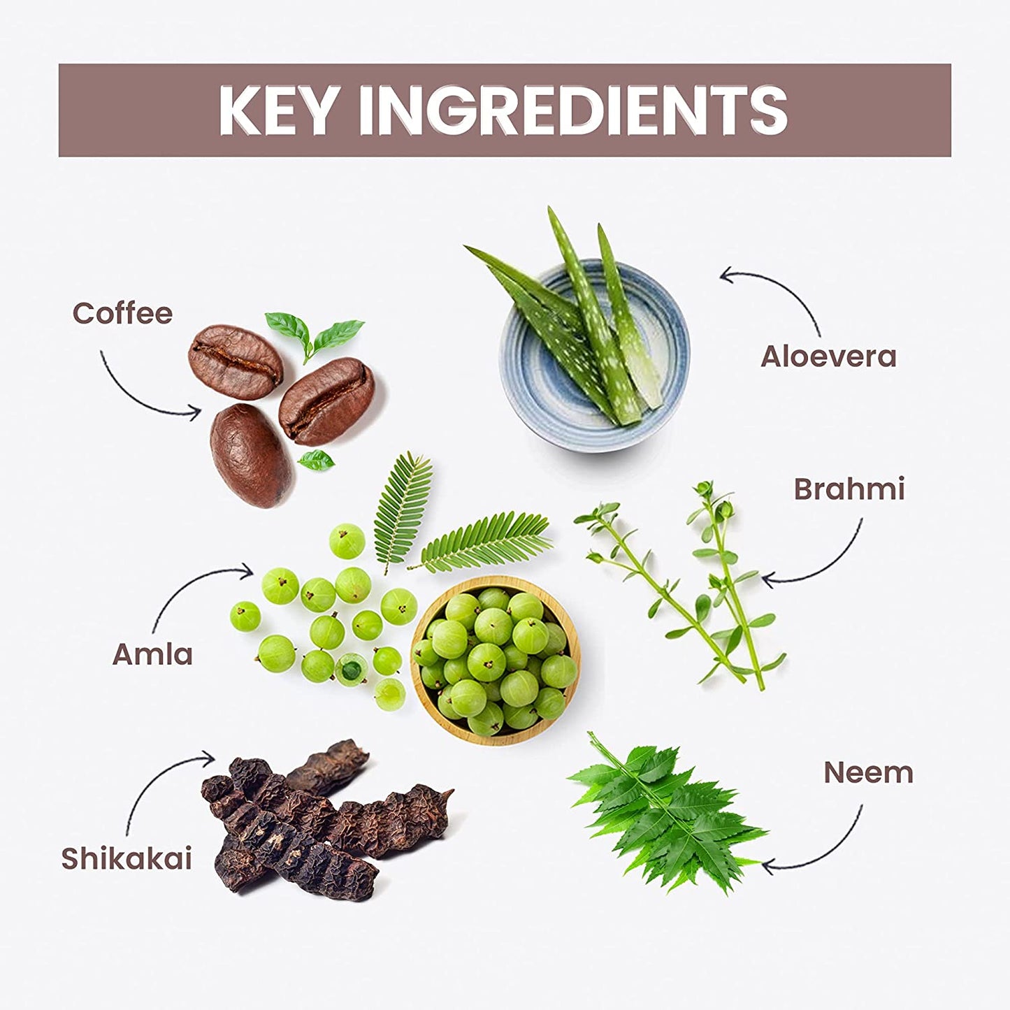 key ingredients in organic henna byPureNaturals